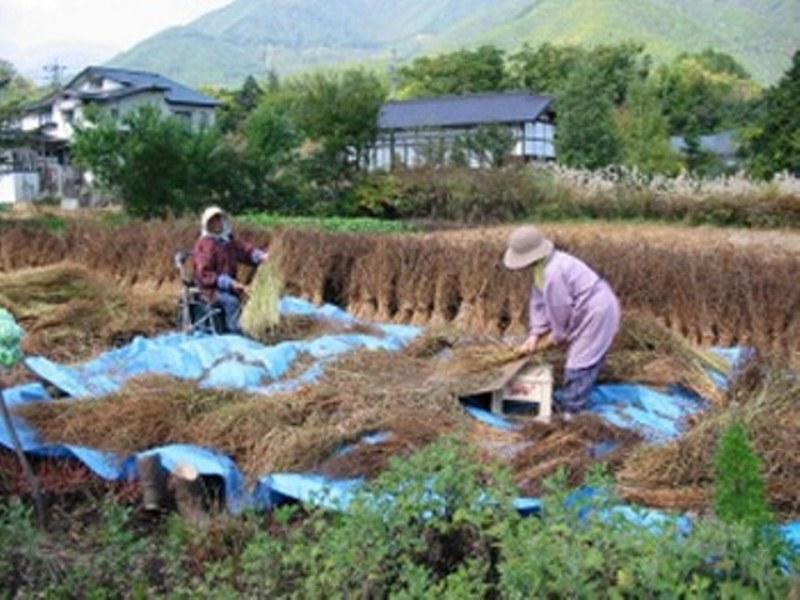 Village Inn Seizanso Matsumoto Eksteriør bilde